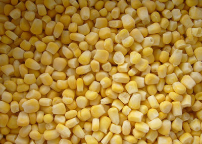 Frozen sweet corn wholesale