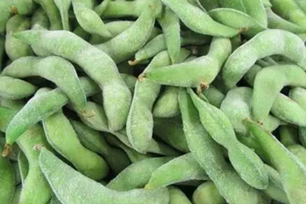 Wholesale of  frozen raw beans