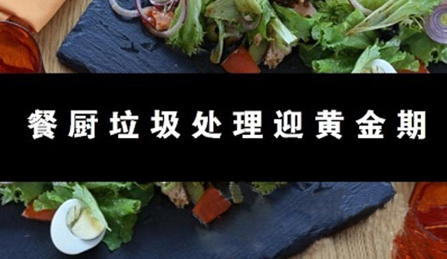 安徽省优质餐厨垃圾处理机厂家批发排名