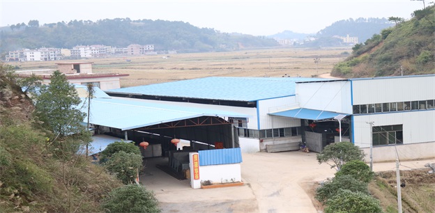 桂林優質豆腐機械設備廠家