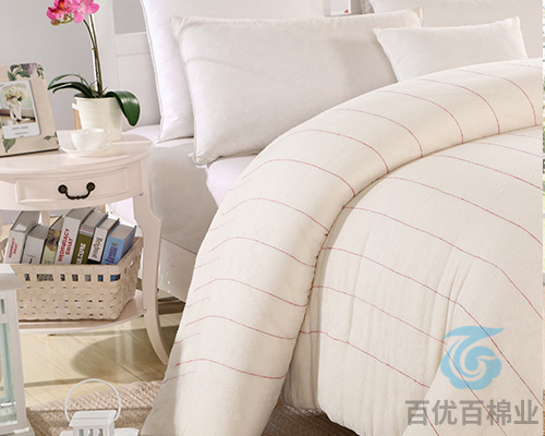 杭州一床棉花被多少钱