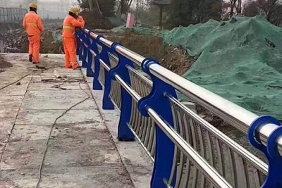 兴义桥栏防护网
