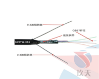 电缆线—4芯单模轻铠中心束管式