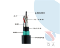 电缆线—4芯单模重铠光缆 (1)