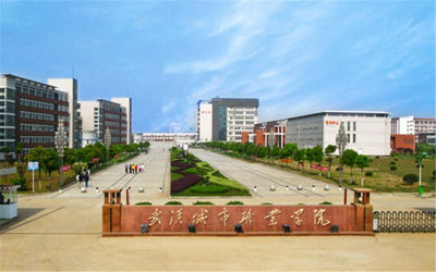 武汉城市职业学院防水维修
