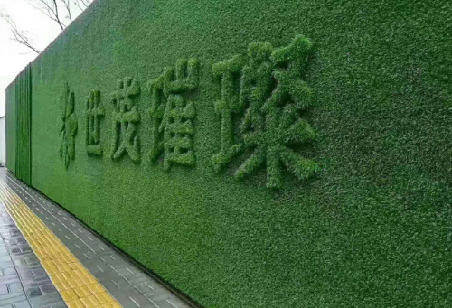 綠植裝飾