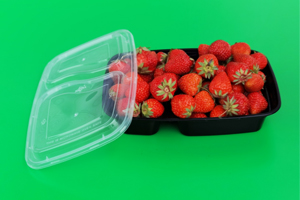 六盤水一次性透明水果盒