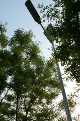 太阳能路灯为生态园添风采
